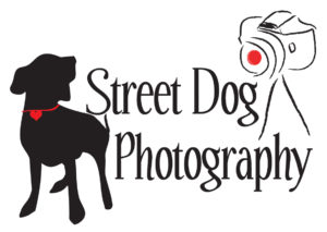 Street Dog Photogrpahy